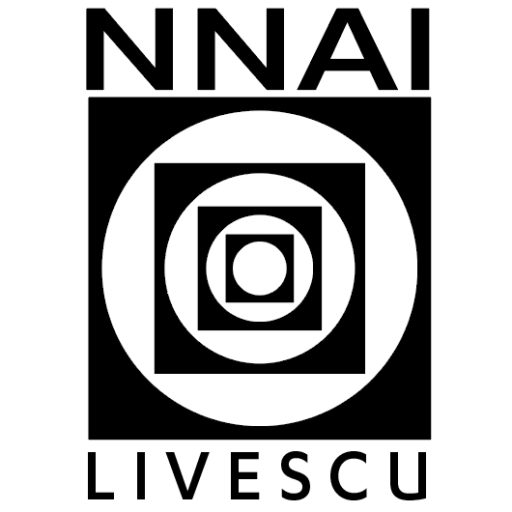 The NNAI Logo